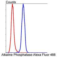 Alkaline Phosphatase [SA40-00]